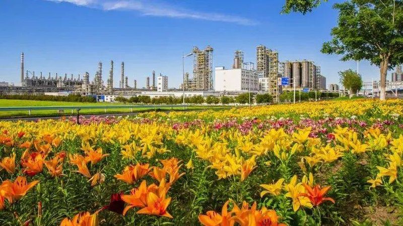 工业添加剂价格低的关键因素解析