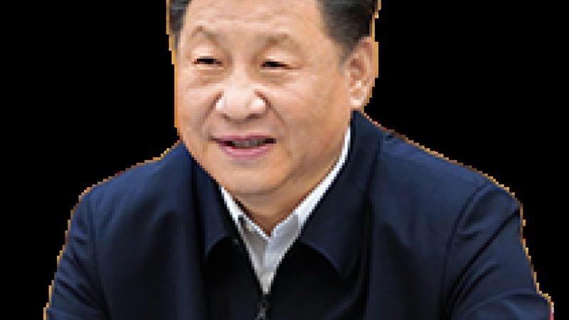 上海涂料树脂定制，如何确保品质与合规？**